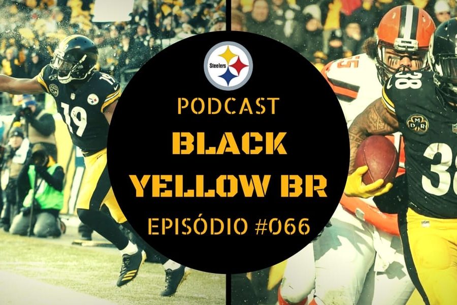 Steelers vs Browns - Semana 17 Temporada 2017