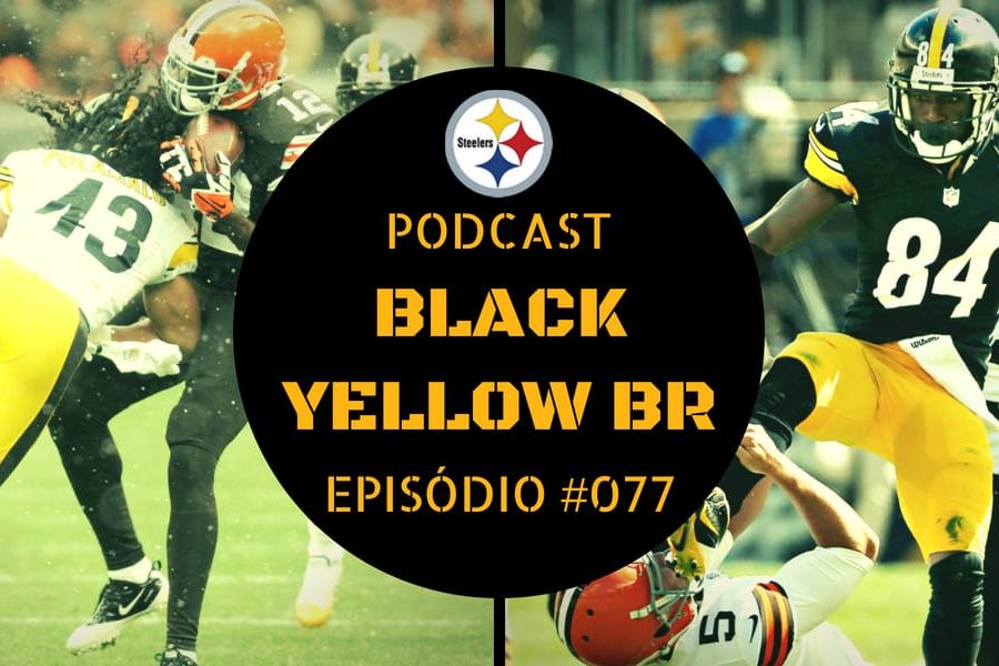 Rivalidade Steelers vs Browns