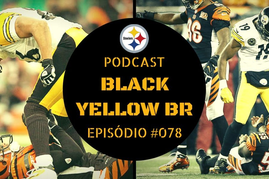 Rivalidade Steelers vs Bengals