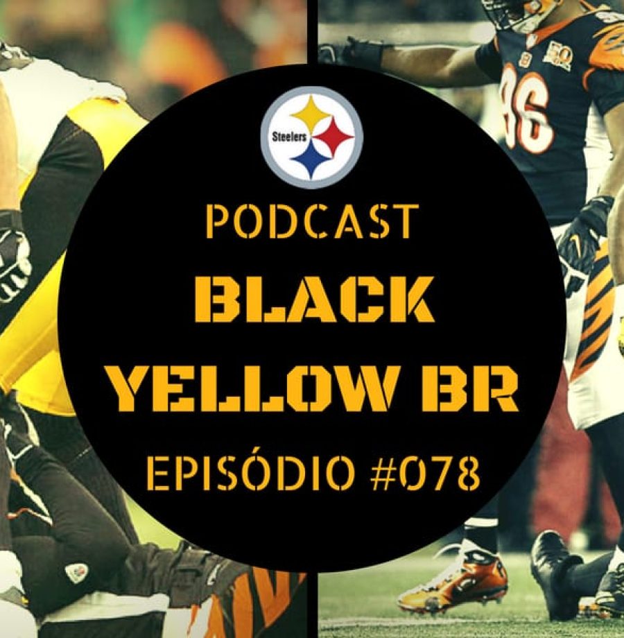 Rivalidade Steelers vs Bengals