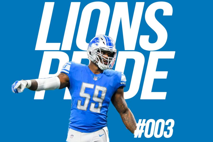 lions-003-large