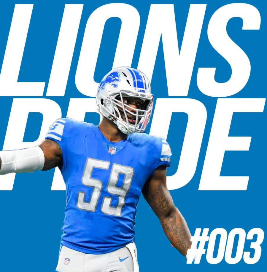 lions-003-large