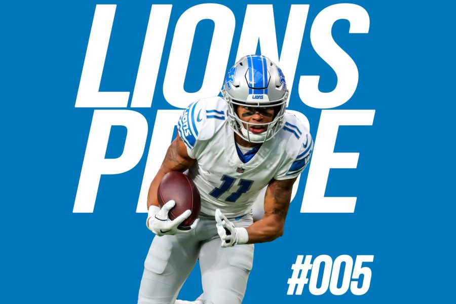 lions-005-large
