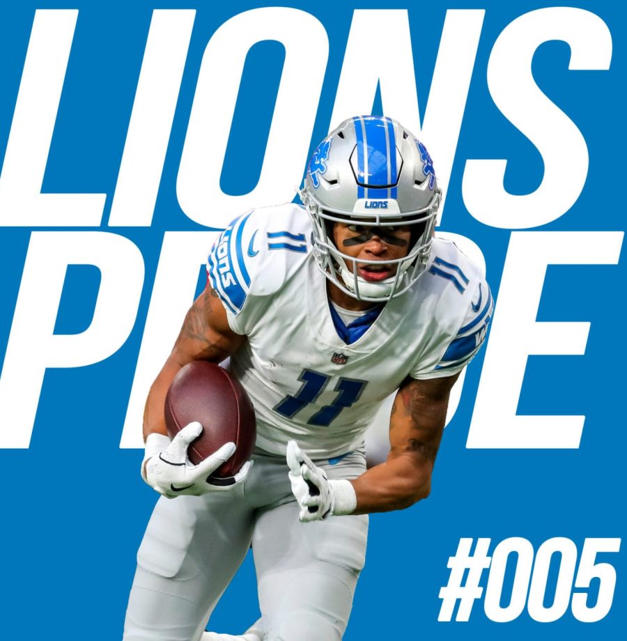 lions-005-large