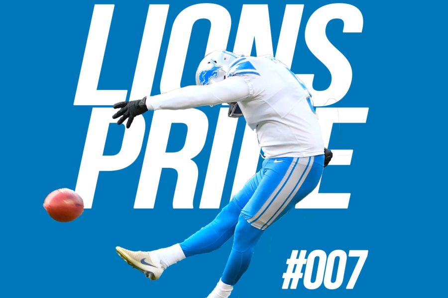 lions-007-large