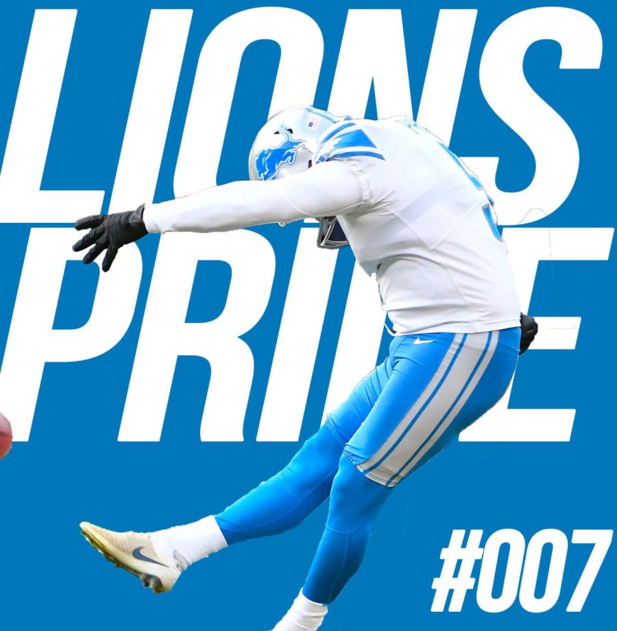 lions-007-large