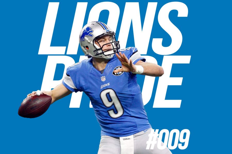 lions-009-large