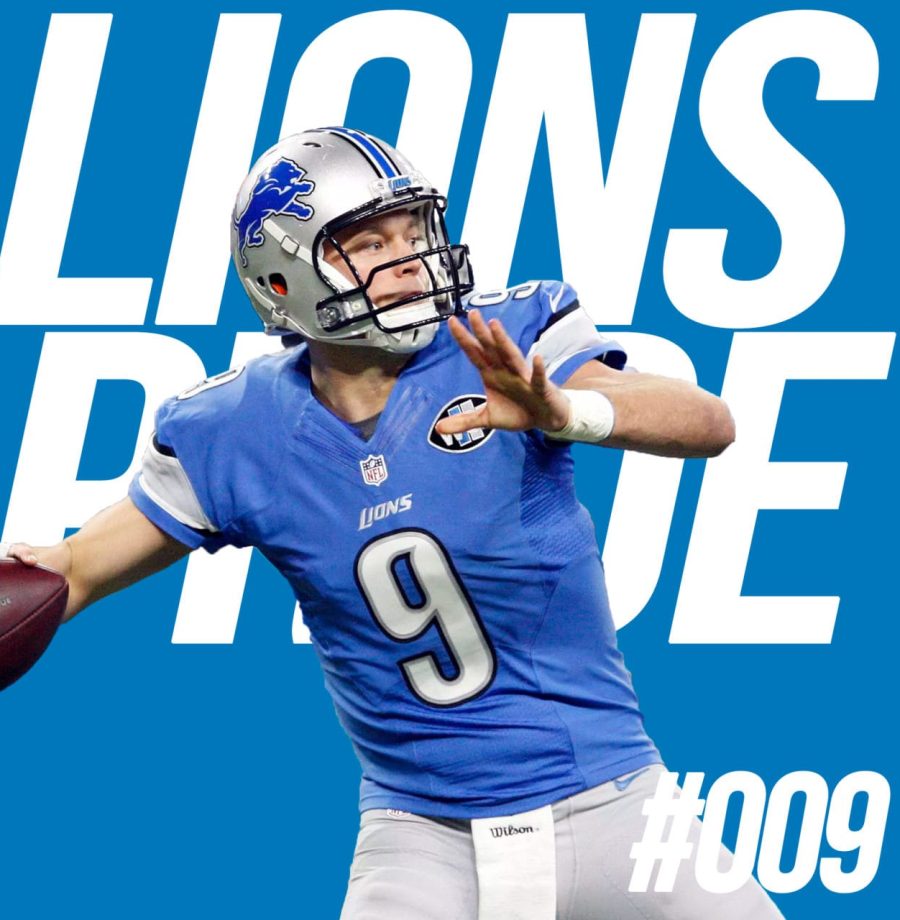 lions-009-large