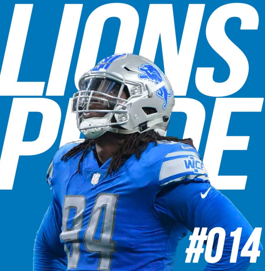 lions-014-large