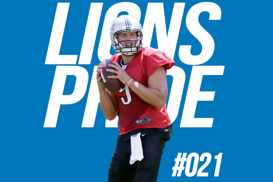 lions-021-large