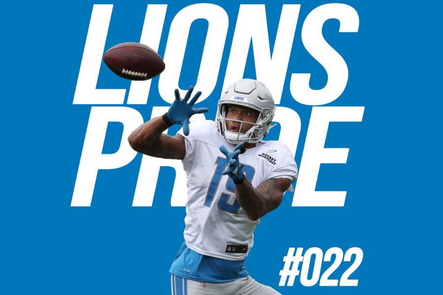 lions-022-large