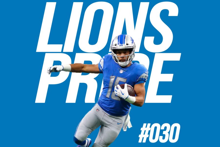 lions-030-large