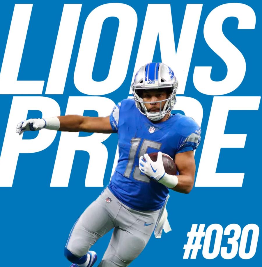 lions-030-large