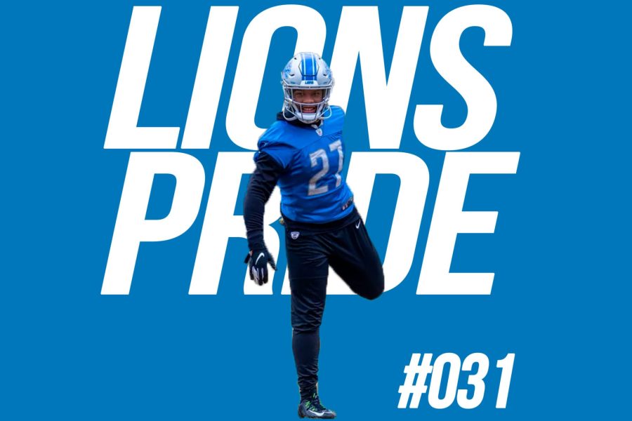 lions-031-large