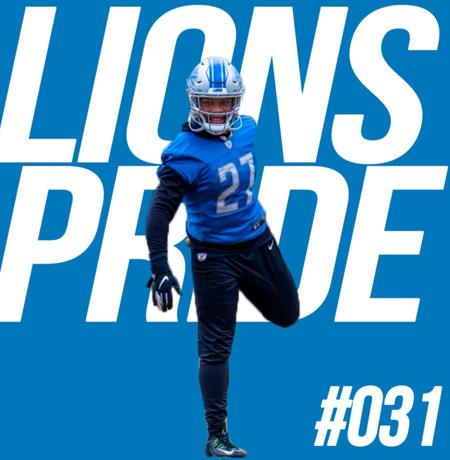 lions-031-large
