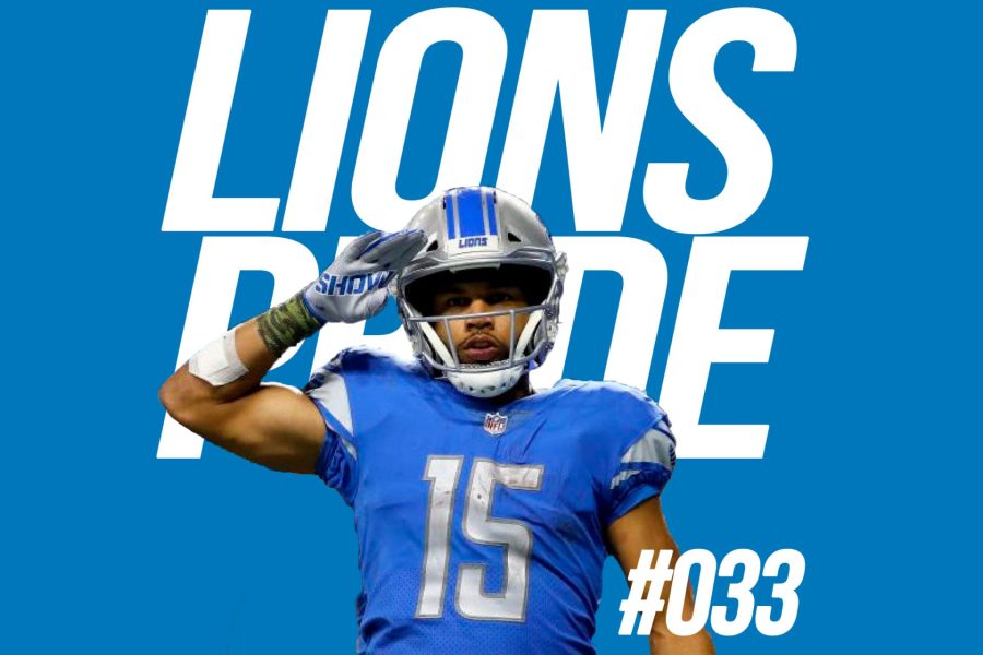 lions-033-large