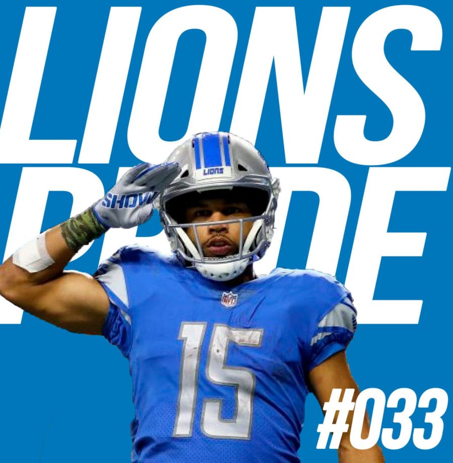 lions-033-large