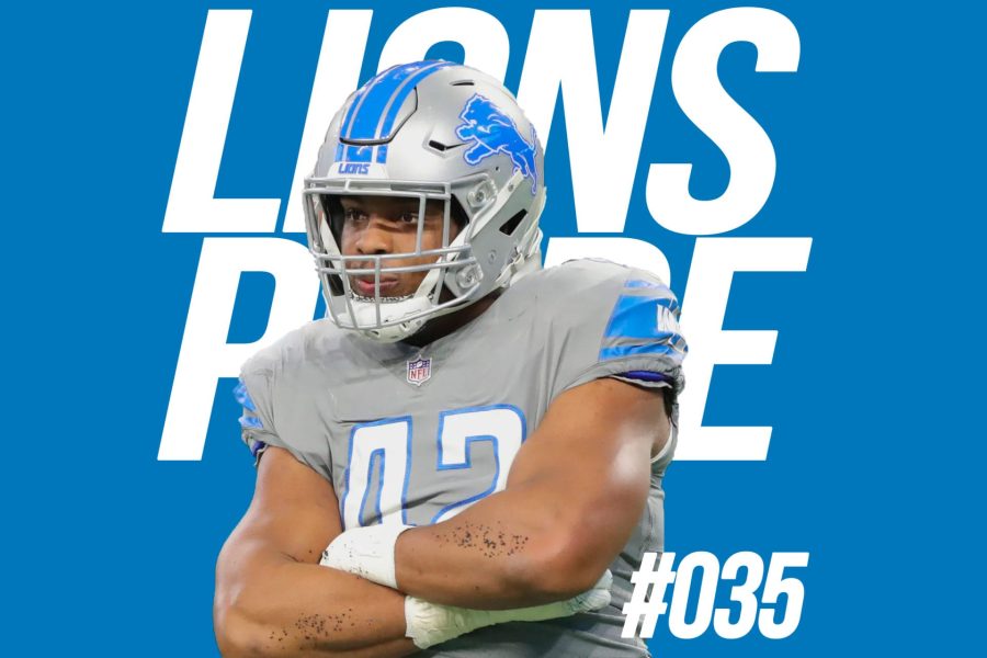 lions-035-large