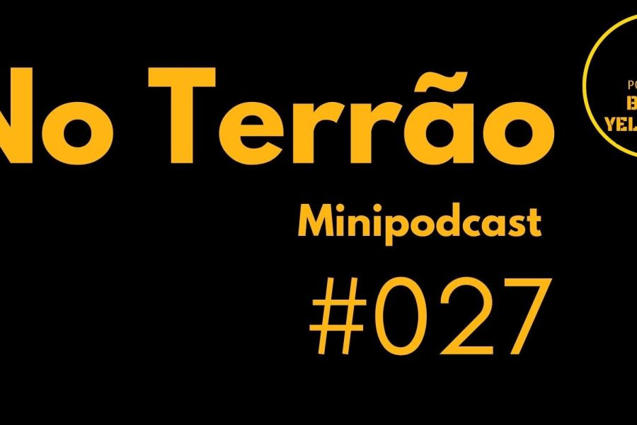 Brian Flores no Steelers