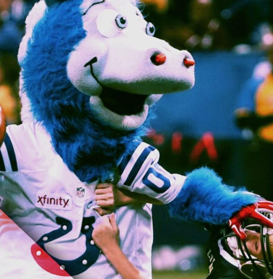 Ranking de mascotes da NFL
