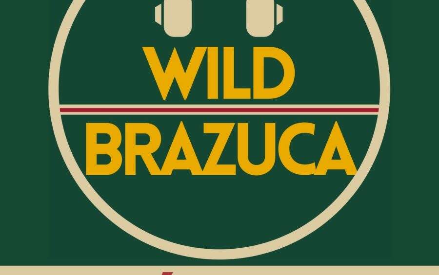 wild-brazuca-002
