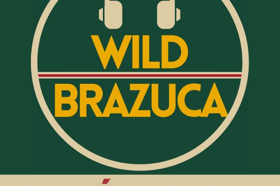 wild-brazuca-002