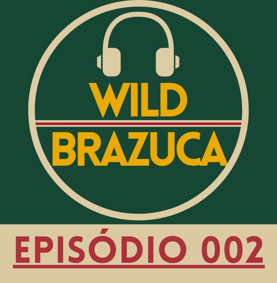wild-brazuca-002