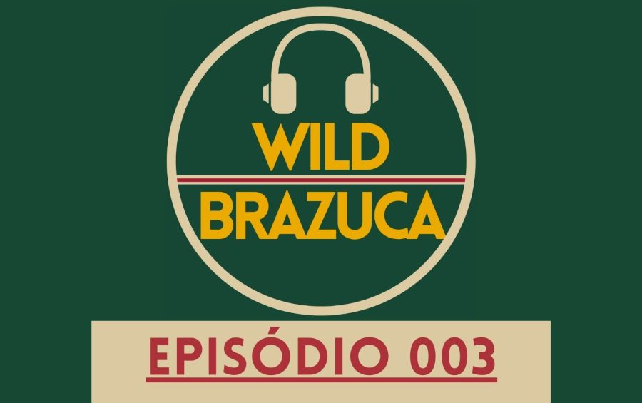 wild-brazuca-large 003