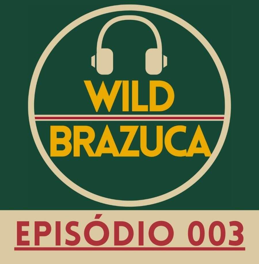 wild-brazuca-large 003