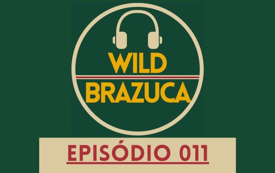 wild-brazuca-large11