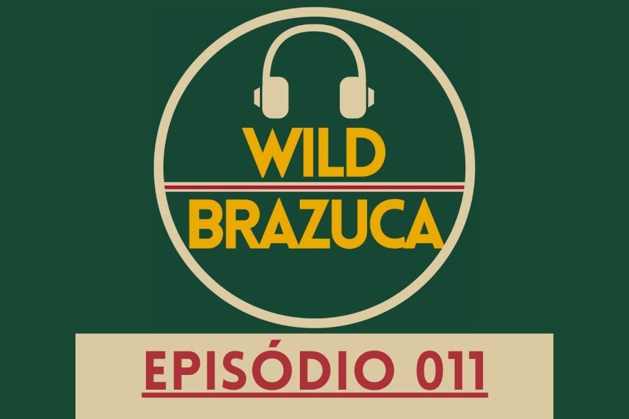 wild-brazuca-large11