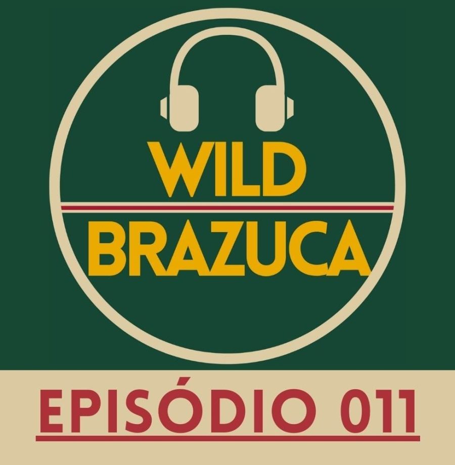 wild-brazuca-large11